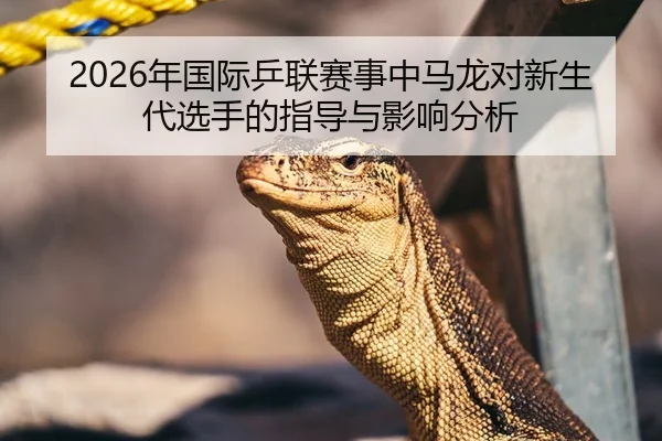 2026年国际乒联赛事中马龙对新生代选手的指导与影响分析