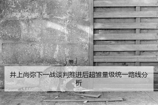 井上尚弥下一战谈判推进后超雏量级统一路线分析