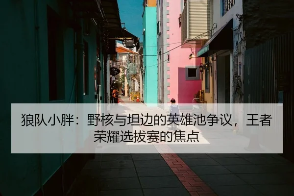 狼队小胖：野核与坦边的英雄池争议，王者荣耀选拔赛的焦点