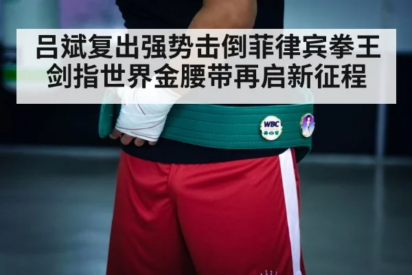 boxing championship belt