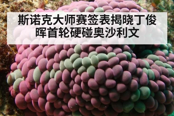 斯诺克大师赛签表揭晓丁俊晖首轮硬碰奥沙利文
